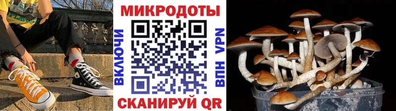 Галлюциногенные грибы прущие грибы Костомукша